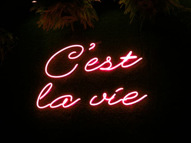 Bright neon sign with 'C'est la vie' phrase in Montreal. Perfect for urban and nightlife themes.