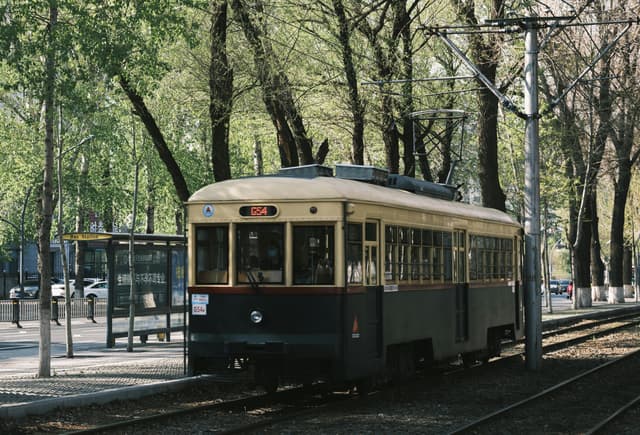 A classic tram passes through a leafy street in an urban setting, capturing the essence of public transportation.