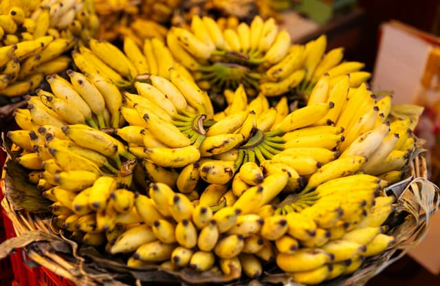 Fresh yellow bananas on display in a Bengaluru market, showcasing vibrant tropical fruits.
