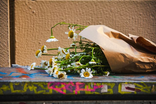 Artistic shot of daisies in brown paper on graffiti backdrop.
